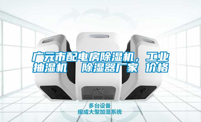 廣元市配電房除濕機(jī)，工業(yè)抽濕機(jī)  除濕器廠家 價(jià)格