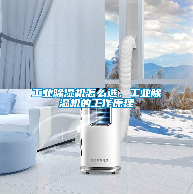 工業(yè)除濕機(jī)怎么選，工業(yè)除濕機(jī)的工作原理