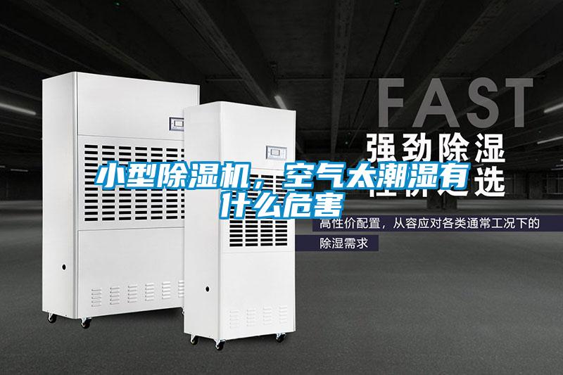 小型除濕機(jī)，空氣太潮濕有什么危害