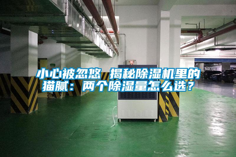 小心被忽悠 揭秘除濕機(jī)里的貓膩：兩個(gè)除濕量怎么選？