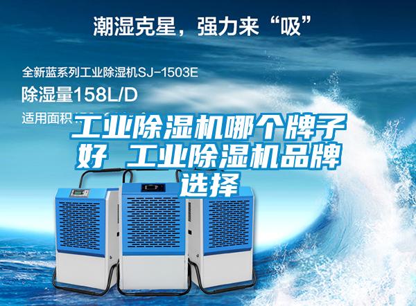 工業(yè)除濕機哪個牌子好 工業(yè)除濕機品牌選擇