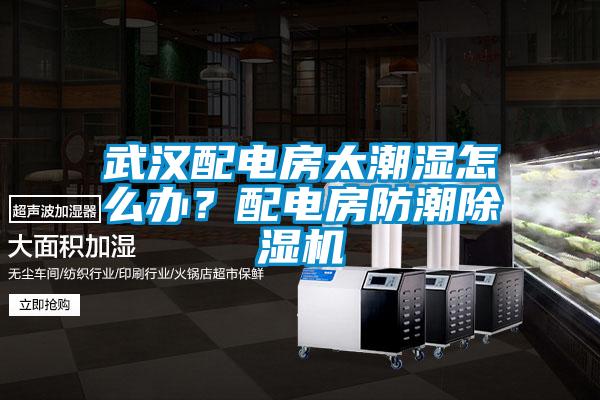 武漢配電房太潮濕怎么辦？配電房防潮除濕機(jī)