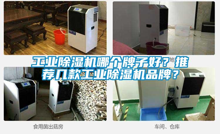 工業(yè)除濕機(jī)哪個牌子好？推薦幾款工業(yè)除濕機(jī)品牌？