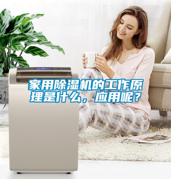 家用除濕機(jī)的工作原理是什么，應(yīng)用呢？