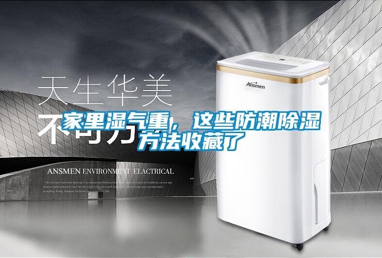 家里濕氣重，這些防潮除濕方法收藏了