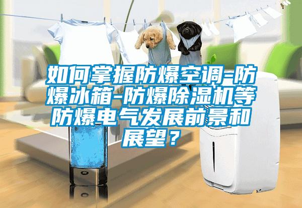 如何掌握防爆空調-防爆冰箱-防爆除濕機等防爆電氣發(fā)展前景和展望？