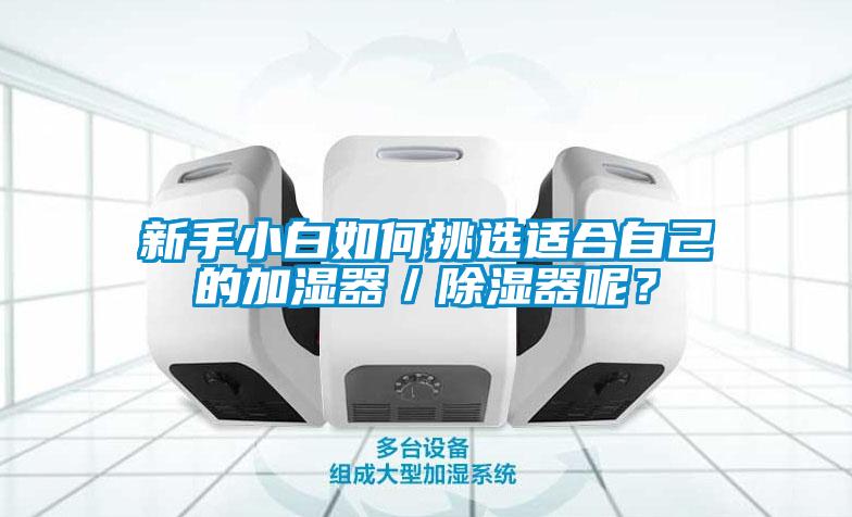 新手小白如何挑選適合自己的加濕器／除濕器呢？