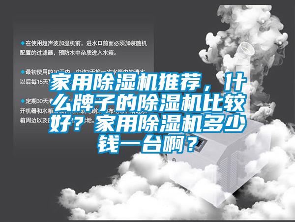 家用除濕機推薦，什么牌子的除濕機比較好？家用除濕機多少錢一臺啊？