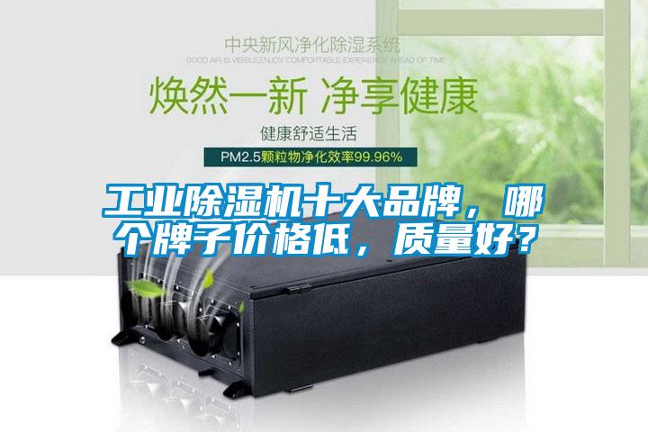 工業(yè)除濕機十大品牌，哪個牌子價格低，質(zhì)量好？