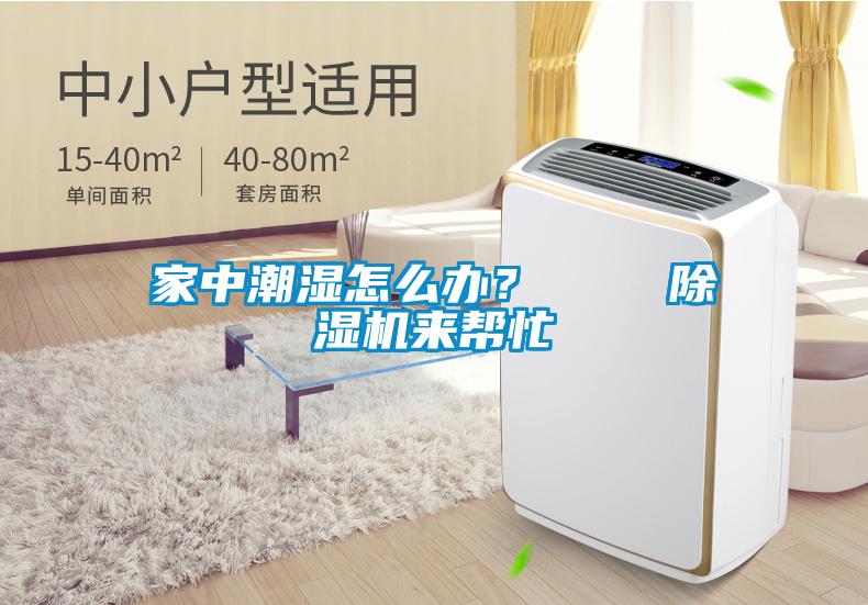 家中潮濕怎么辦？    除濕機(jī)來幫忙