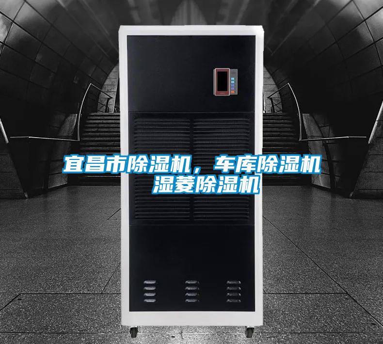 宜昌市除濕機(jī)，車(chē)庫(kù)除濕機(jī)  濕菱除濕機(jī)