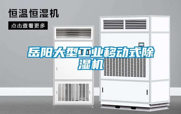 岳陽大型工業(yè)移動式除濕機