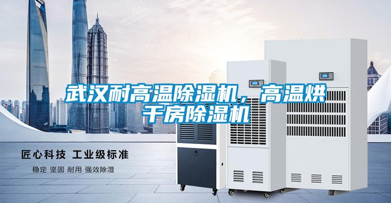 武漢耐高溫除濕機，高溫烘干房除濕機