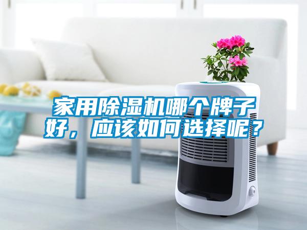 家用除濕機哪個牌子好，應(yīng)該如何選擇呢？