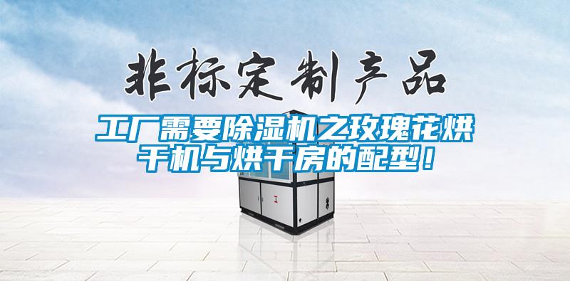 工廠(chǎng)需要除濕機(jī)之玫瑰花烘干機(jī)與烘干房的配型！