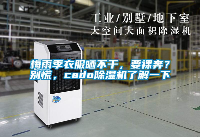 梅雨季衣服曬不干，要裸奔？別慌，cado除濕機(jī)了解一下