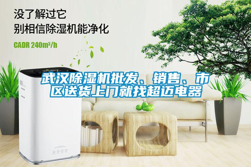 武漢除濕機(jī)批發(fā)、銷售、市區(qū)送貨上門(mén)就找超邁電器