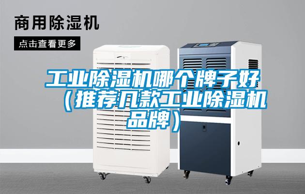 工業(yè)除濕機(jī)哪個牌子好（推薦幾款工業(yè)除濕機(jī)品牌）