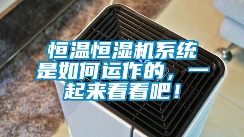 恒溫恒濕機(jī)系統(tǒng)是如何運(yùn)作的，一起來(lái)看看吧！