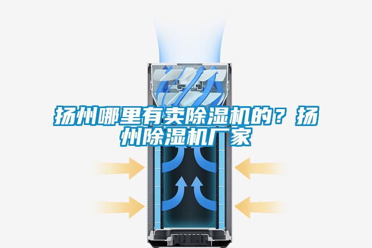 揚(yáng)州哪里有賣除濕機(jī)的？揚(yáng)州除濕機(jī)廠家