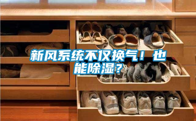 新風(fēng)系統(tǒng)不僅換氣！也能除濕？