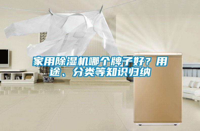 家用除濕機哪個牌子好？用途、分類等知識歸納