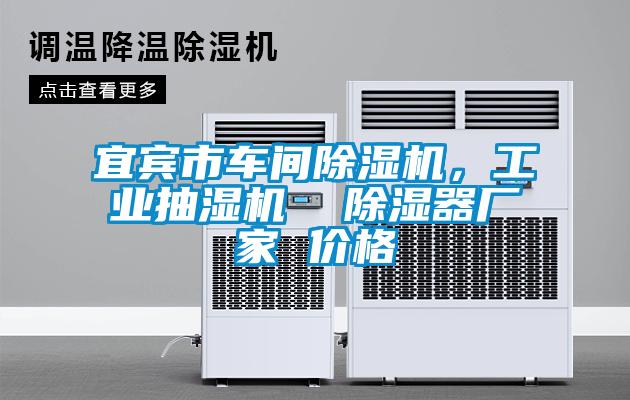 宜賓市車間除濕機(jī)，工業(yè)抽濕機(jī)  除濕器廠家 價(jià)格