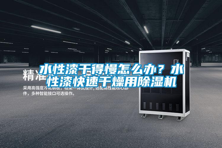 水性漆干得慢怎么辦？水性漆快速干燥用除濕機