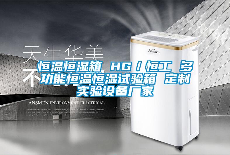 恒溫恒濕箱 HG／恒工 多功能恒溫恒濕試驗箱 定制實(shí)驗設(shè)備廠家