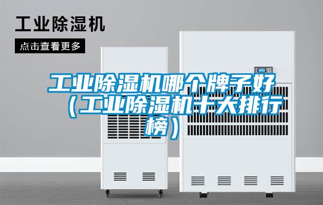 工業(yè)除濕機(jī)哪個牌子好（工業(yè)除濕機(jī)十大排行榜）