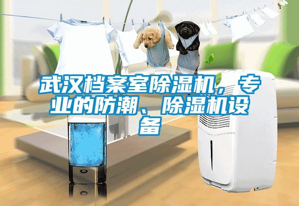 武漢檔案室除濕機，專業(yè)的防潮、除濕機設備