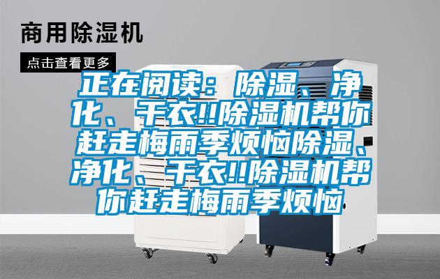正在閱讀：除濕、凈化、干衣!!除濕機幫你趕走梅雨季煩惱除濕、凈化、干衣!!除濕機幫你趕走梅雨季煩惱