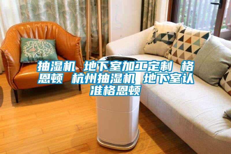抽濕機 地下室加工定制 格恩頓 杭州抽濕機 地下室認(rèn)準(zhǔn)格恩頓