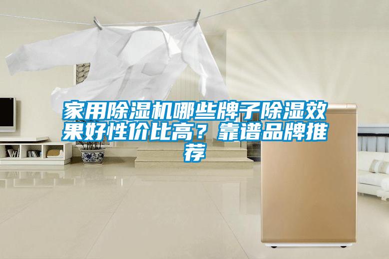 家用除濕機(jī)哪些牌子除濕效果好性價比高？靠譜品牌推薦