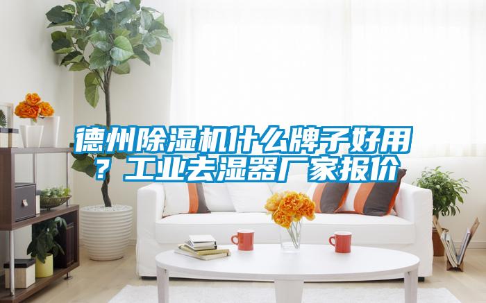 德州除濕機什么牌子好用？工業(yè)去濕器廠家報價