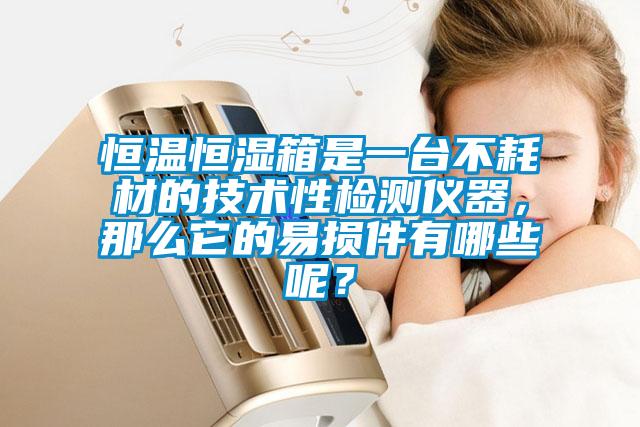 恒溫恒濕箱是一臺不耗材的技術性檢測儀器，那么它的易損件有哪些呢？
