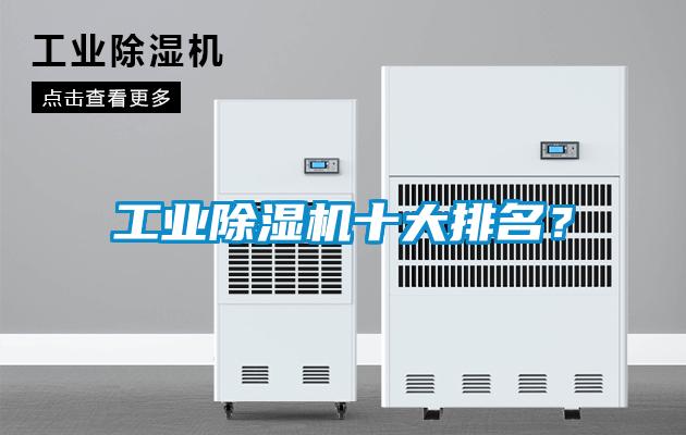 工業(yè)除濕機(jī)十大排名？