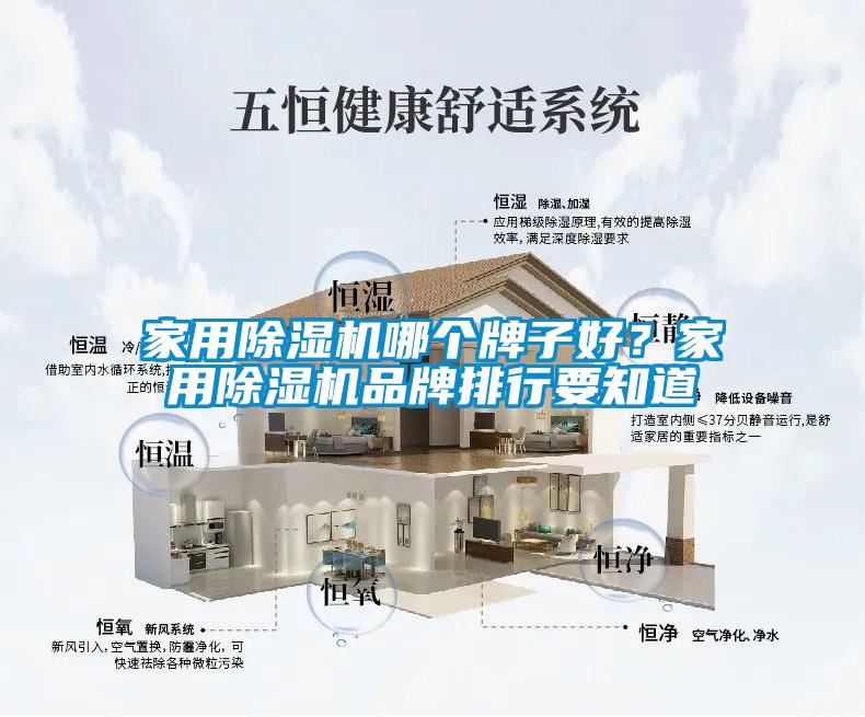 家用除濕機(jī)哪個(gè)牌子好？家用除濕機(jī)品牌排行要知道