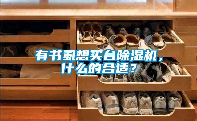 有書虱想買臺(tái)除濕機(jī)，什么的合適？