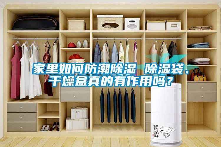 家里如何防潮除濕 除濕袋、干燥盒真的有作用嗎？