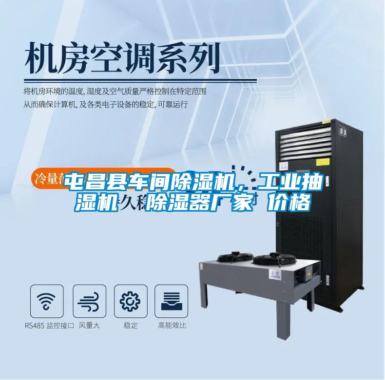 屯昌縣車間除濕機，工業(yè)抽濕機  除濕器廠家 價格