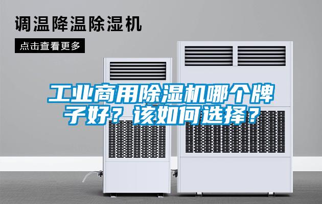工業(yè)商用除濕機哪個牌子好？該如何選擇？