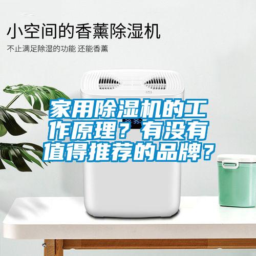 家用除濕機(jī)的工作原理？有沒(méi)有值得推薦的品牌？