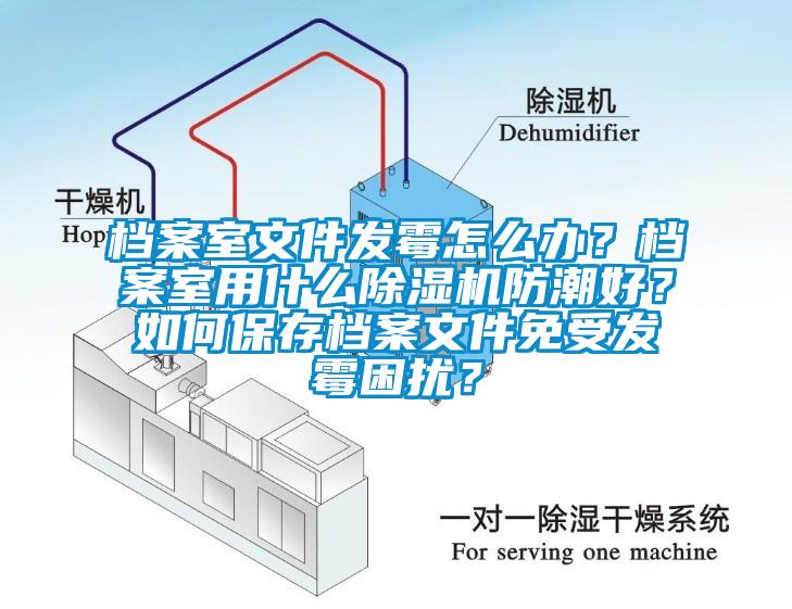 檔案室文件發(fā)霉怎么辦？檔案室用什么除濕機防潮好？如何保存檔案文件免受發(fā)霉困擾？
