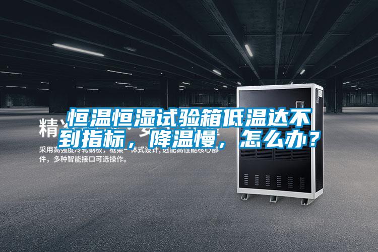 恒溫恒濕試驗箱低溫達不到指標，降溫慢，怎么辦？