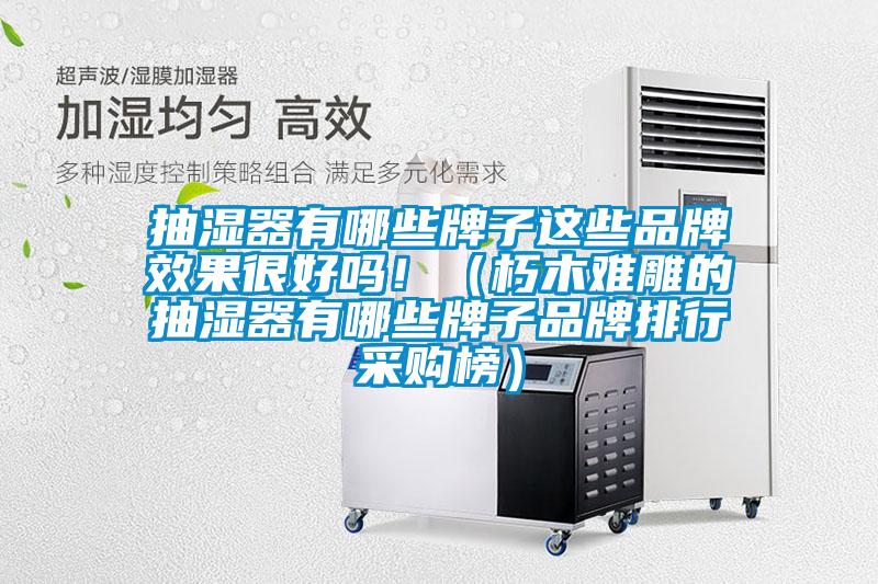 抽濕器有哪些牌子這些品牌效果很好嗎?。ㄐ嗄倦y雕的抽濕器有哪些牌子品牌排行采購榜）