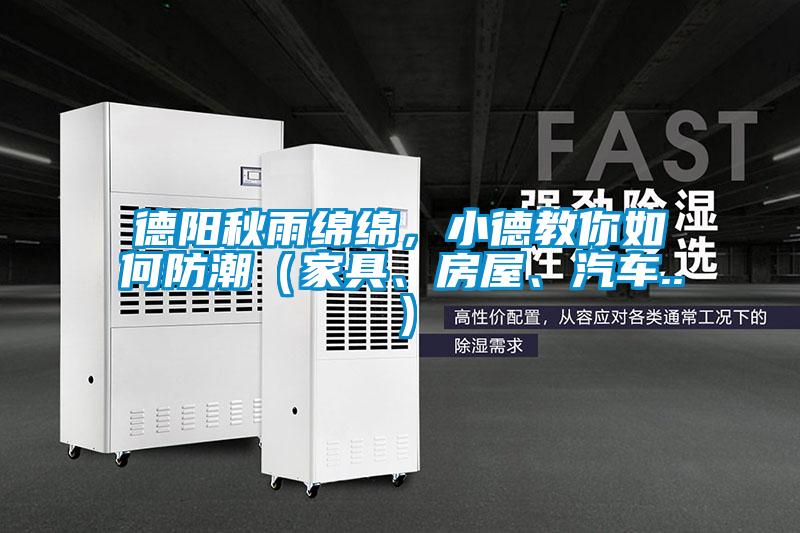 德陽秋雨綿綿，小德教你如何防潮（家具、房屋、汽車..）