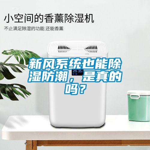 新風(fēng)系統(tǒng)也能除濕防潮，是真的嗎？