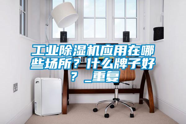 工業(yè)除濕機(jī)應(yīng)用在哪些場(chǎng)所？什么牌子好？_重復(fù)