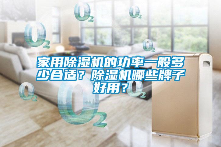 家用除濕機(jī)的功率一般多少合適？除濕機(jī)哪些牌子好用？